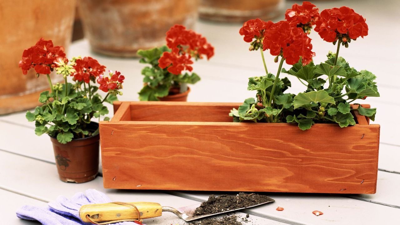 IKEA's stackable flower boxes will revolutionize any small garden – and ...
