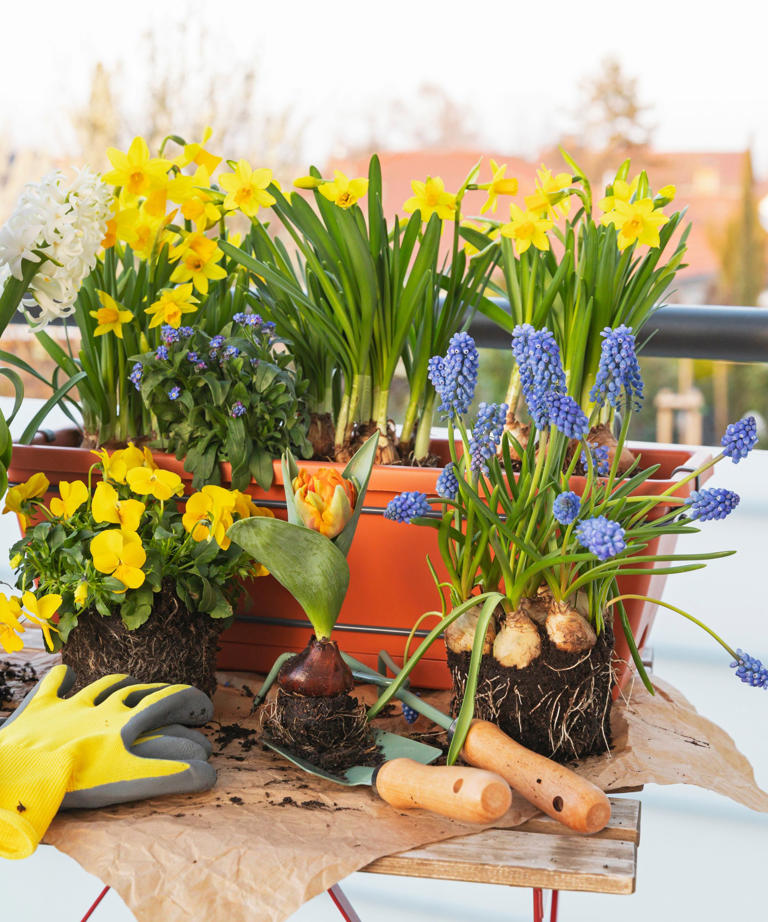 IKEA's stackable flower boxes will revolutionize any small garden – and ...