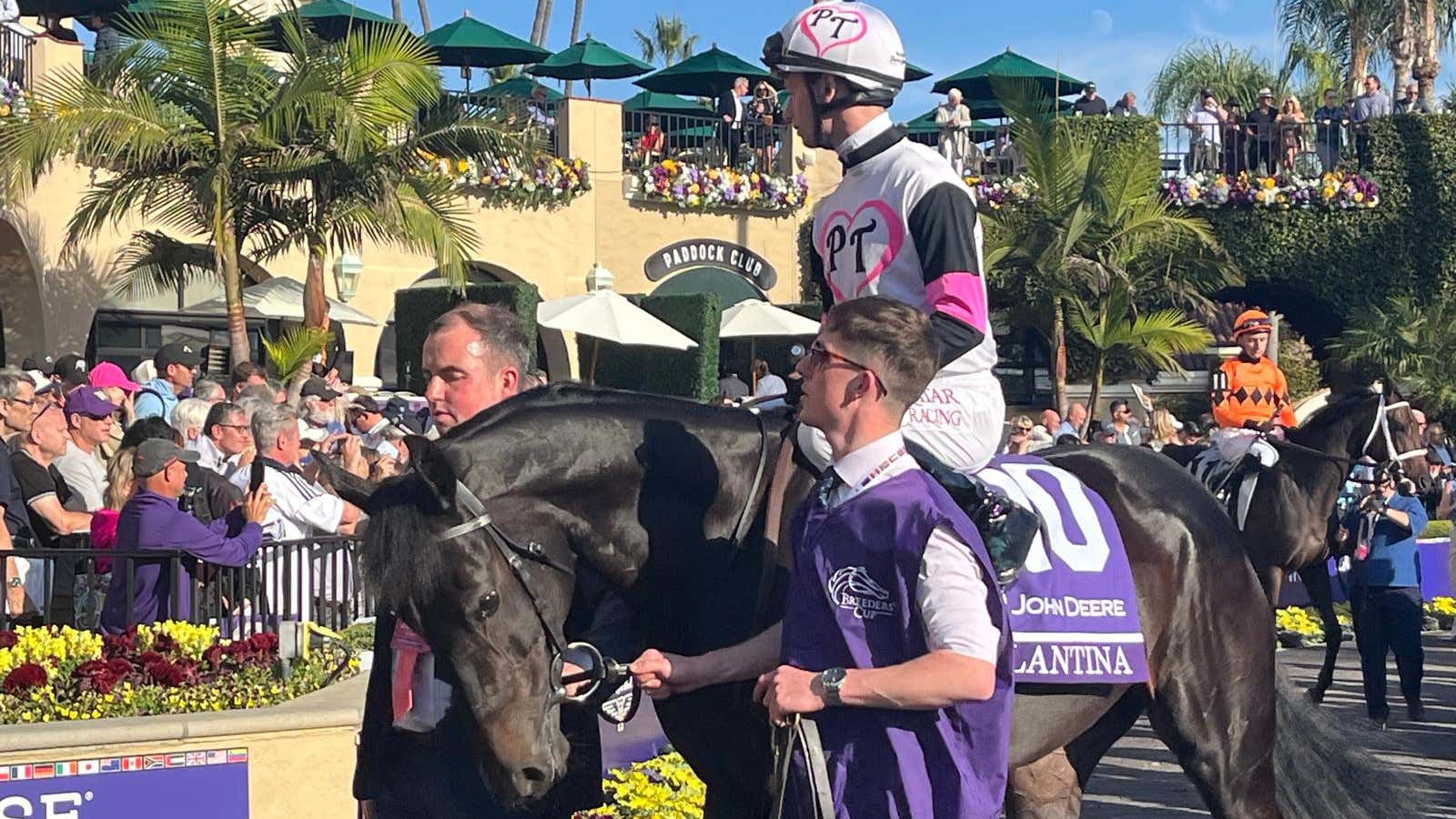 Balantina lined up for Coronation Stakes