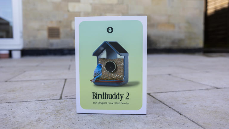 Bird Buddy 2 review: A premium smart camera upgrade with some ...