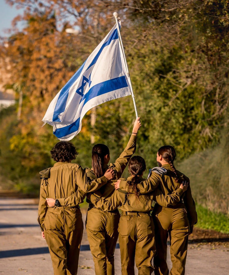 Government approves dedicated unit to assist new immigrants serving in IDF