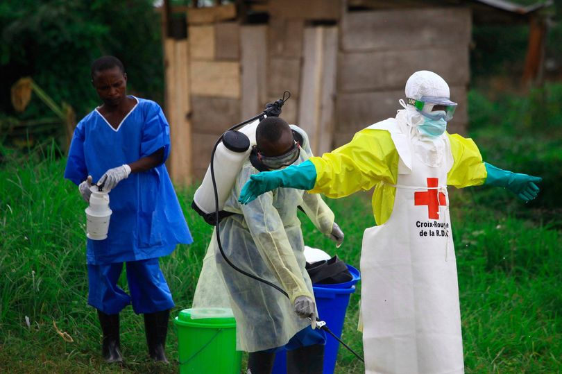 WHO Declares Global Health Emergency: 80 Dead from New Virus Strain