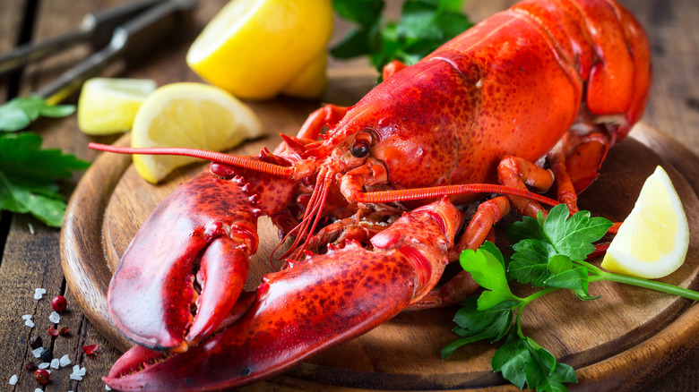 Why a big pot of boiling water is the wrong way to cook lobster