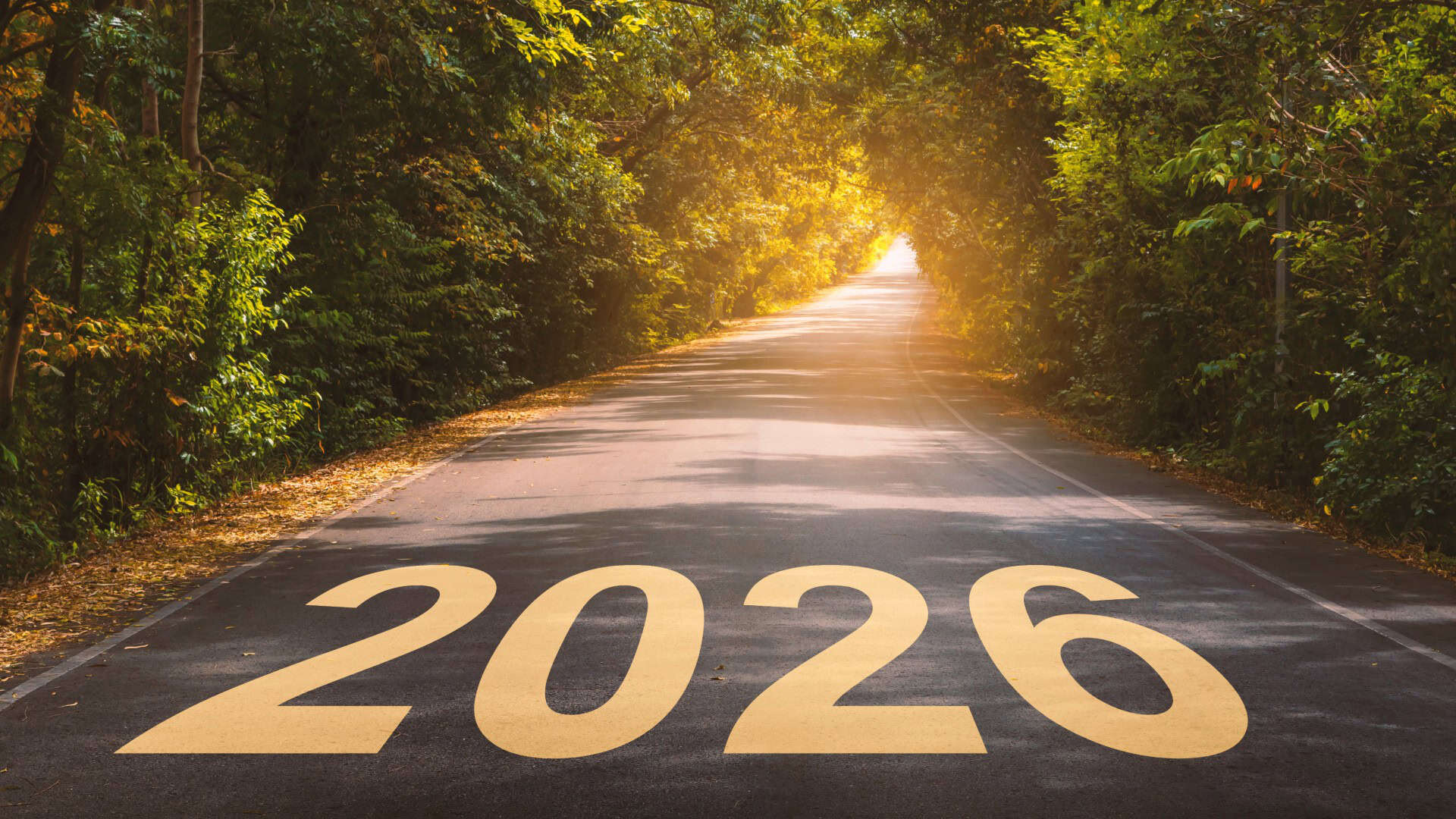 Forecast: In 12 months, £500 invested in this penny share could be worth…