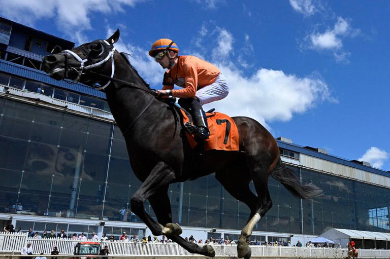 Preakness Stakes weekend marred by tragedy as horse dies after debut race