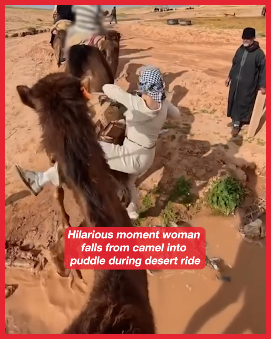 Woman tumbles from camel and lands in muddy puddle during desert ride ...