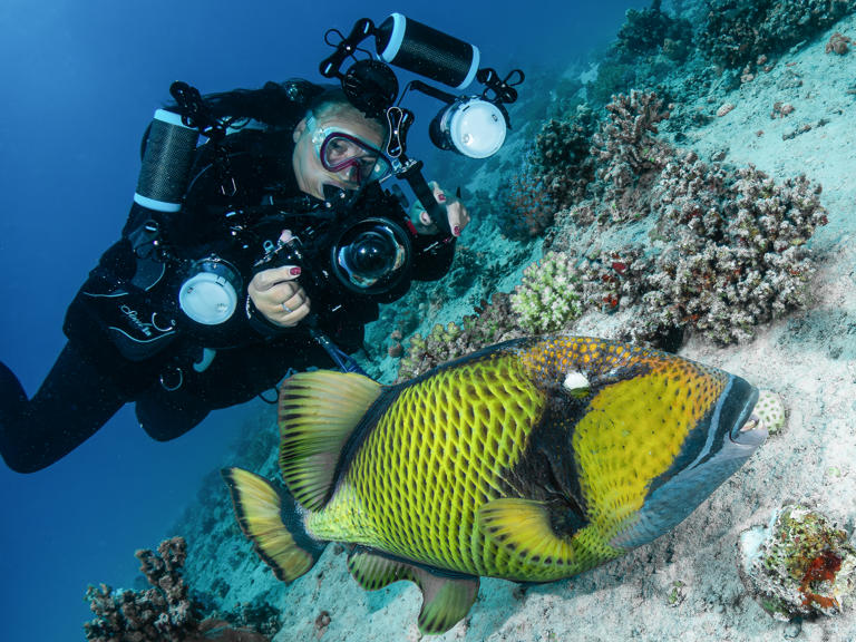 OM System PT-059 review: Probably the most popular underwater camera ...