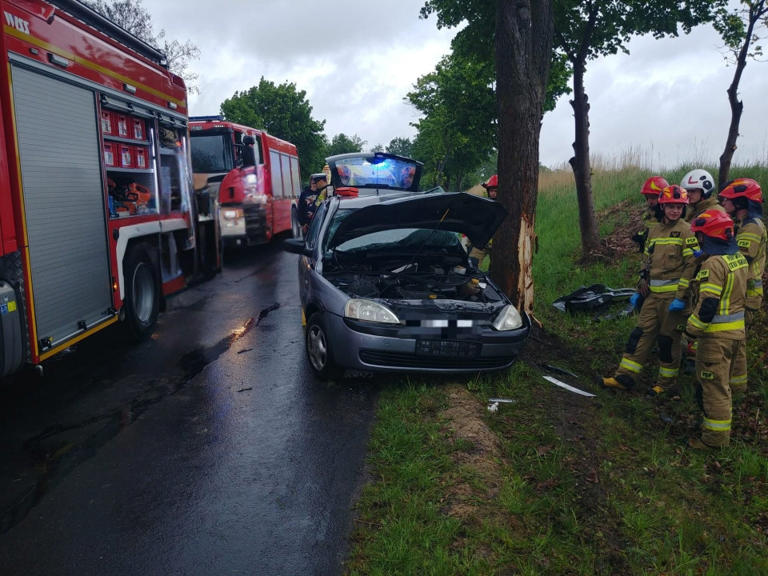 Groźny wypadek pod Gliwicami. Samochód uderzył w leśną zwierzynę w ...