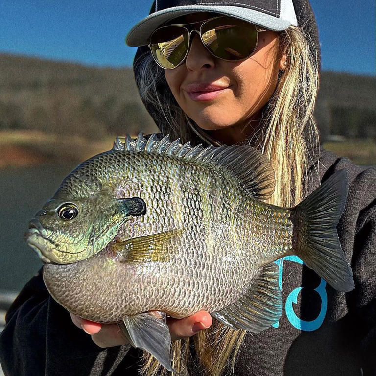 [Image: AA23pFMd.img?w=768&h=768&m=6]