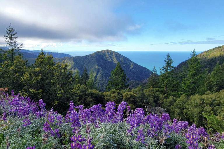 'Best views in the entire state': California's top mountain climbs ...