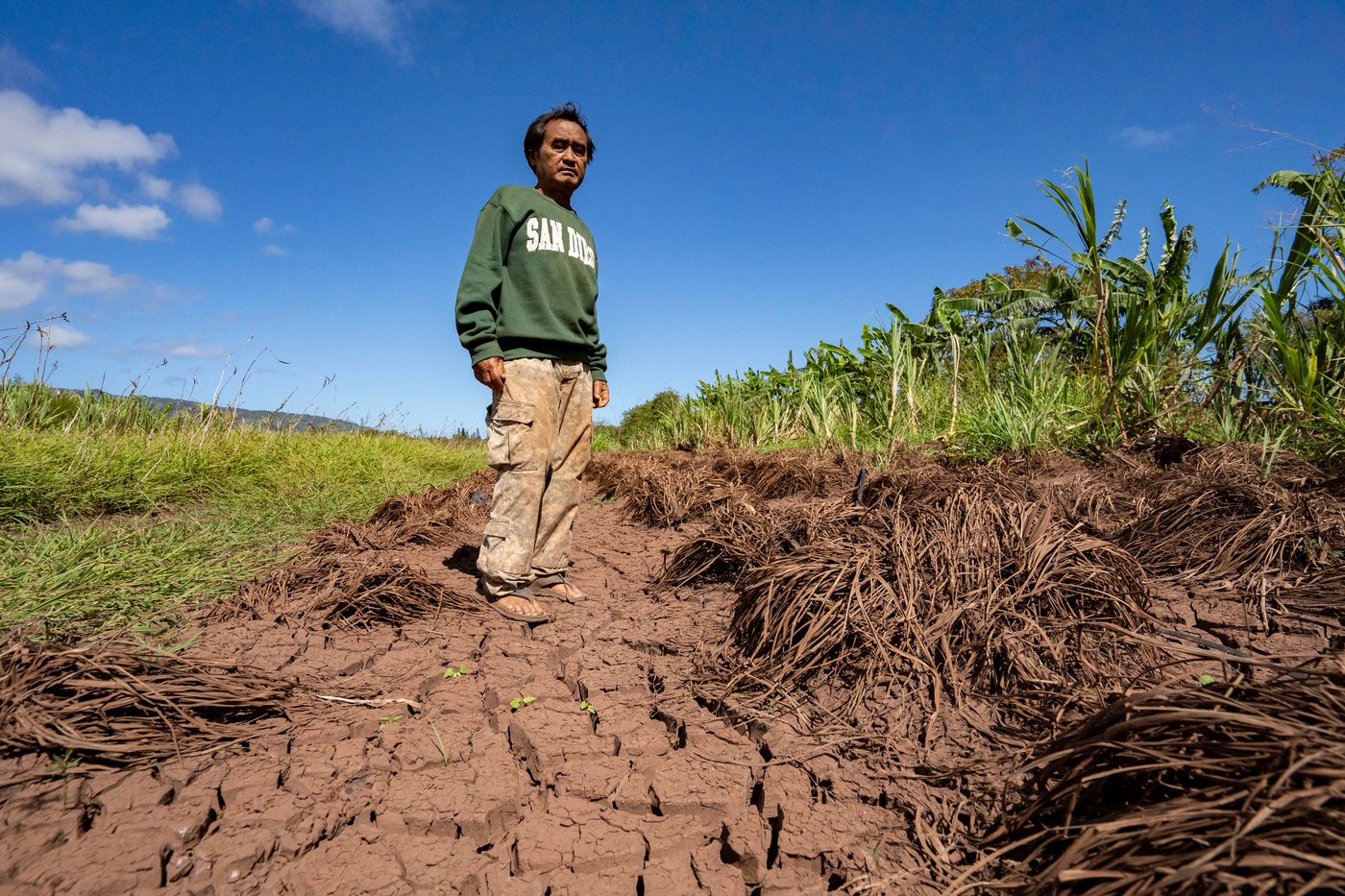 Hawaii's 20-Year Flood Crisis Hits Farmers and Markets