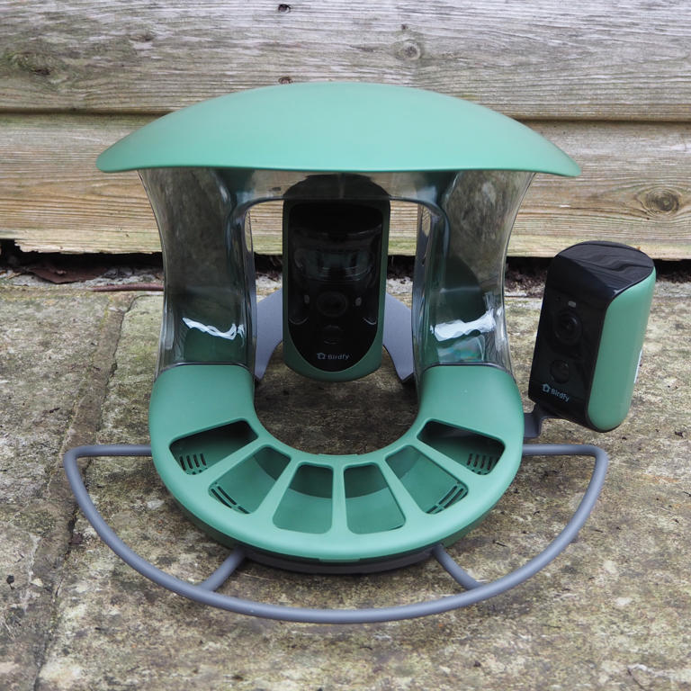 Bird Buddy 2 review: A premium smart camera upgrade with some ...