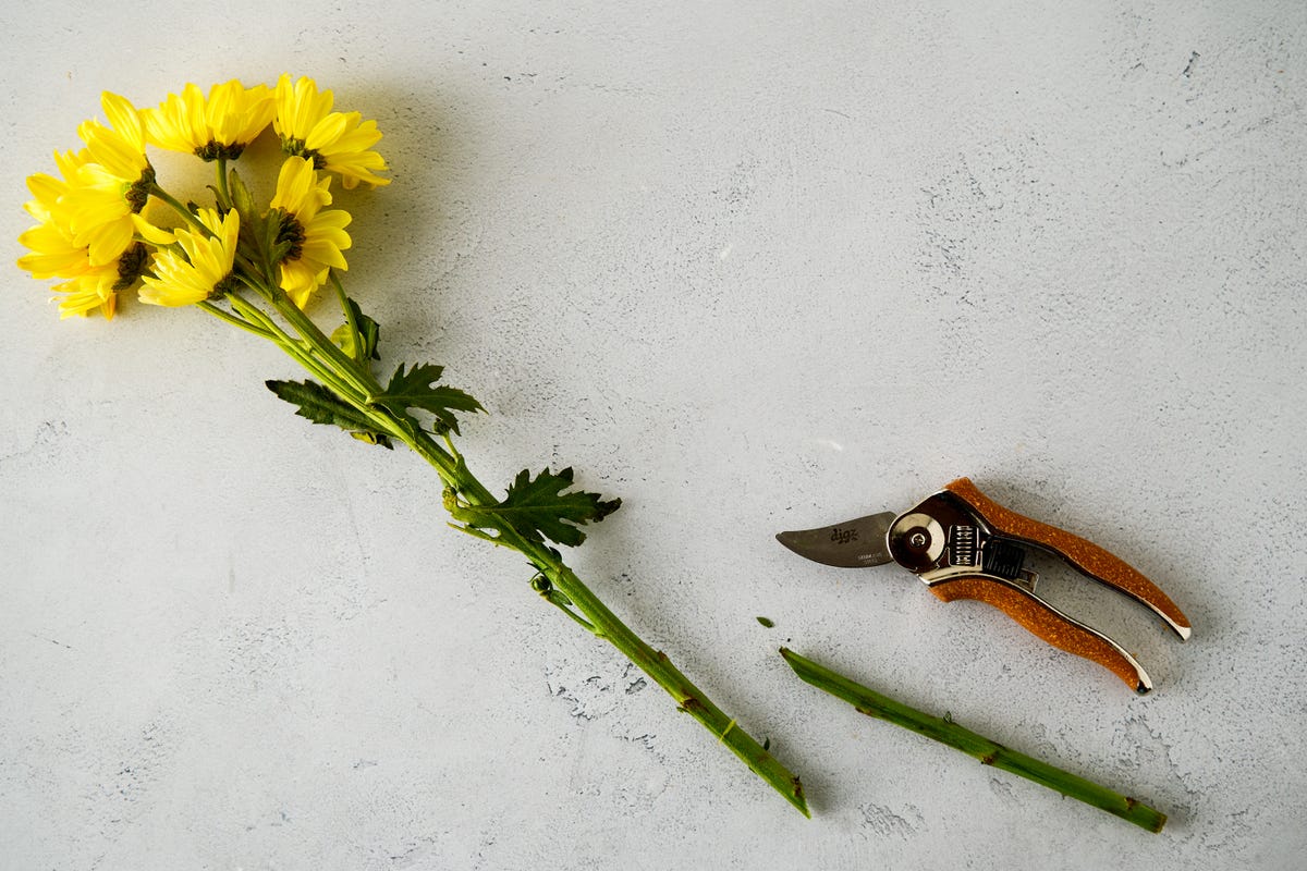 flower-stem.jpg