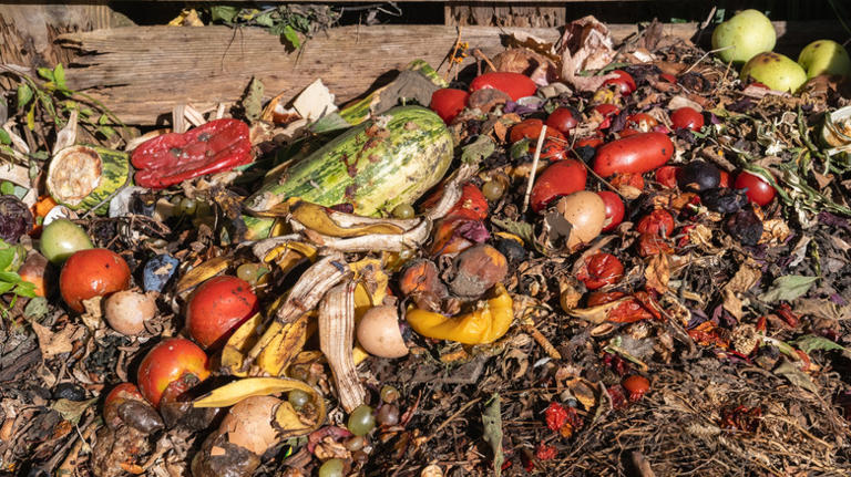 The science behind turning human poop into usable cooking gas