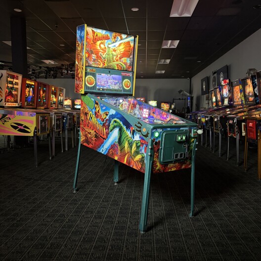 An auction house in OC deals in pinball and arcade machines. A special ...