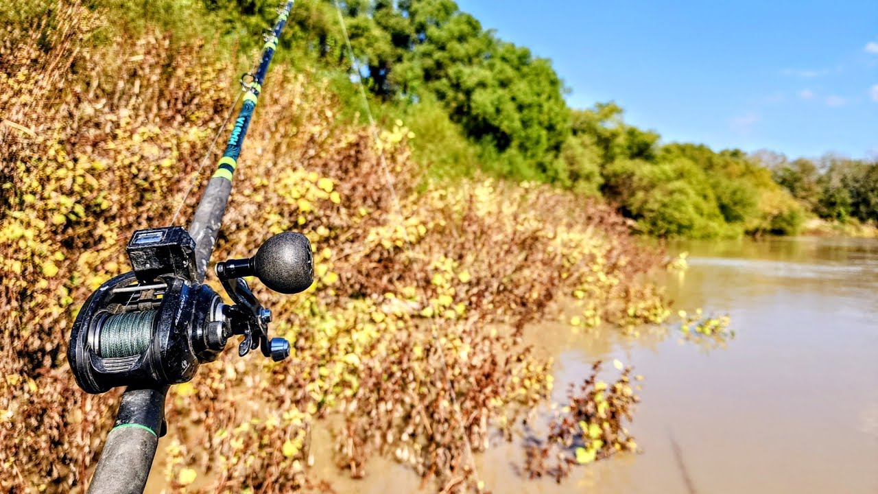 Big fish love flooded brush (17-foot rise)