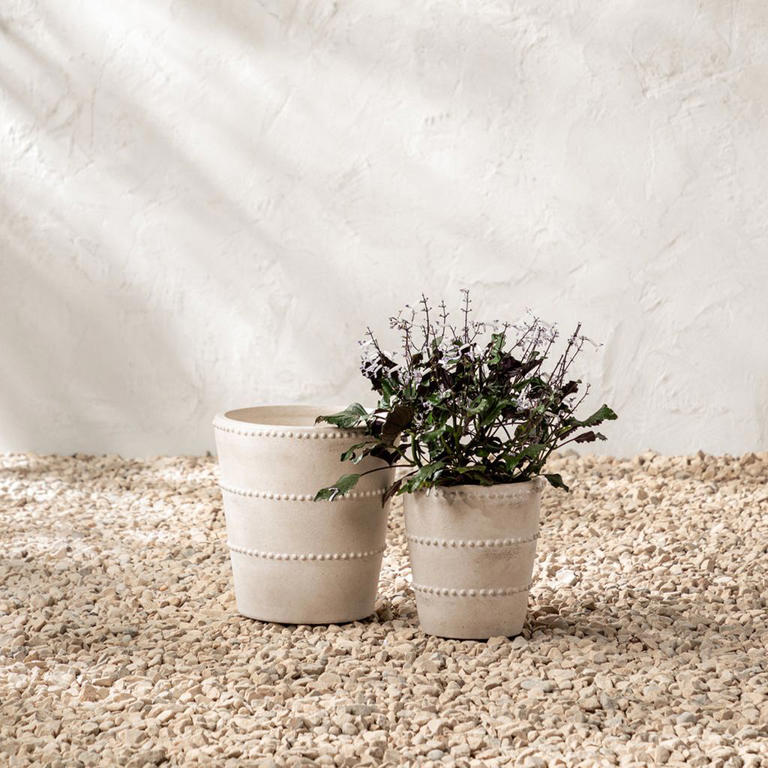 Petals & roots: How to create a spring patio container that bees and ...