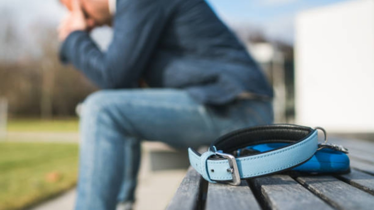 How to find peace after saying goodbye to a beloved pet