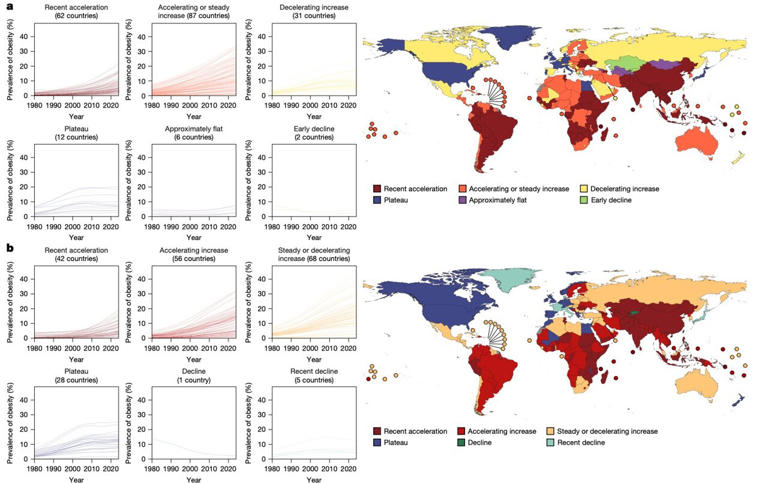 Wealth and health divide: Obesity rates plateau in rich nations but ...