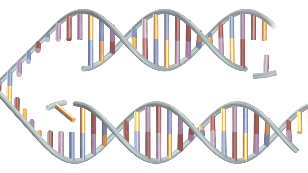 Mayo Clinic develops DNA aptamers to detect aging 'zombie cells'