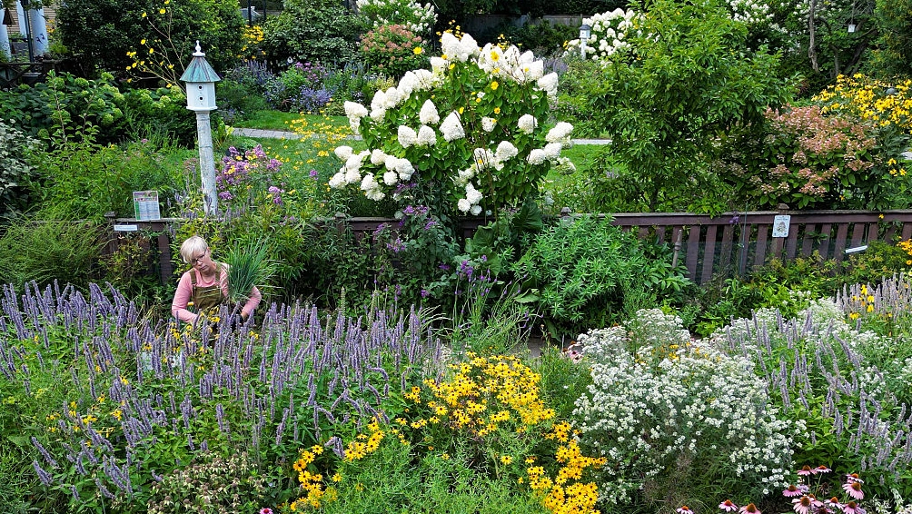 Experts share May planting strategies to boost pollinators fast