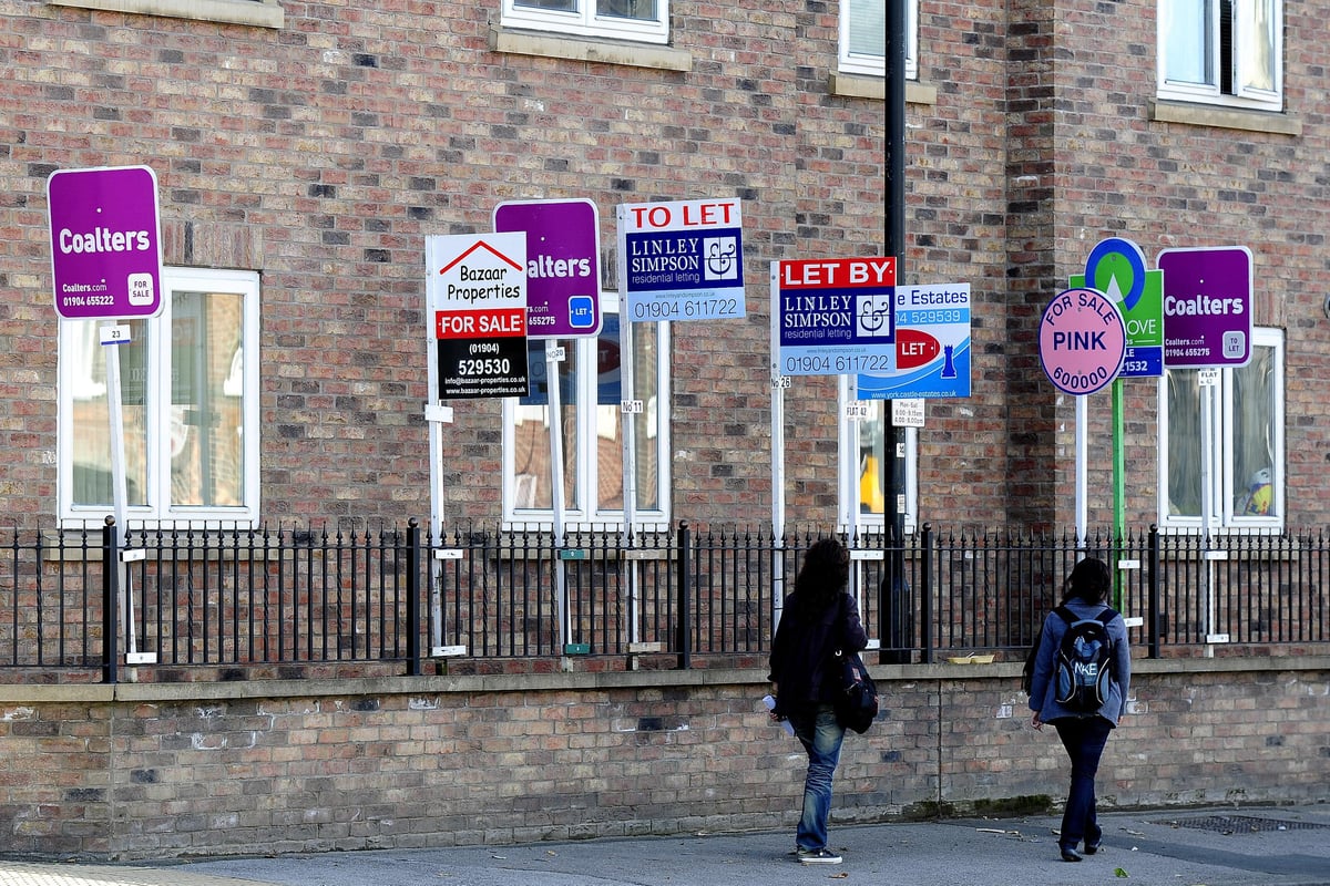 Housing market sees 'north-south divide' amid 'surprisingly strong ...