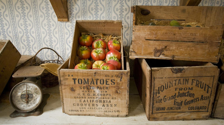 Say good-bye to kitchen counter clutter & meet the Dollar Tree DIY that ...