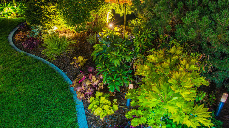 Not stone: Light up your garden with an edging upgrade from Amazon