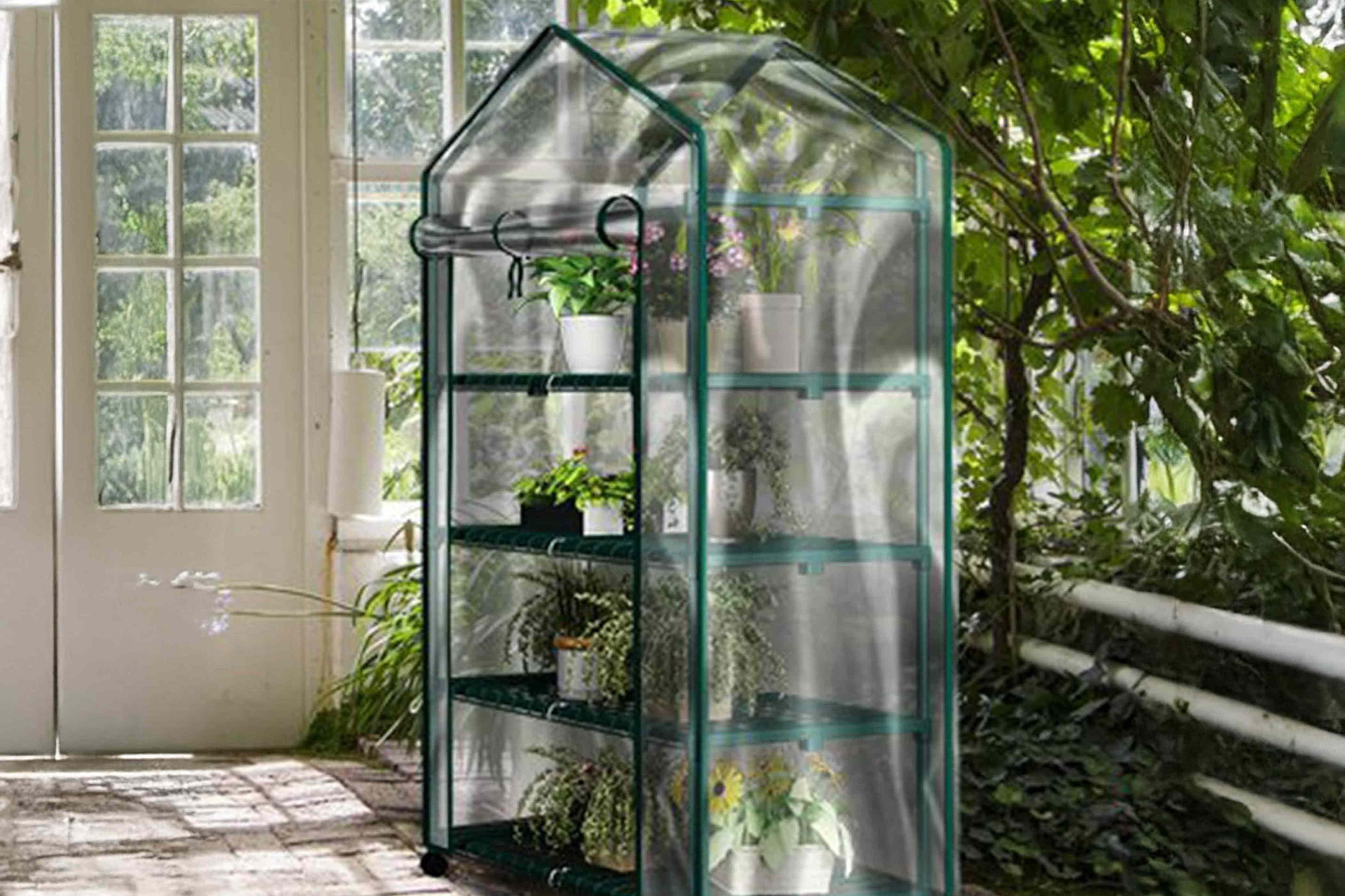 This portable greenhouse is a game changer for growing plants inside ...