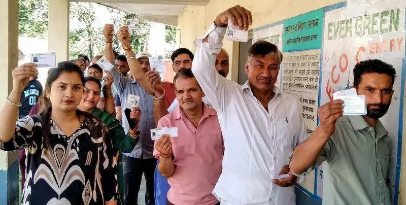 High turnout in HP’s crucial civic elections