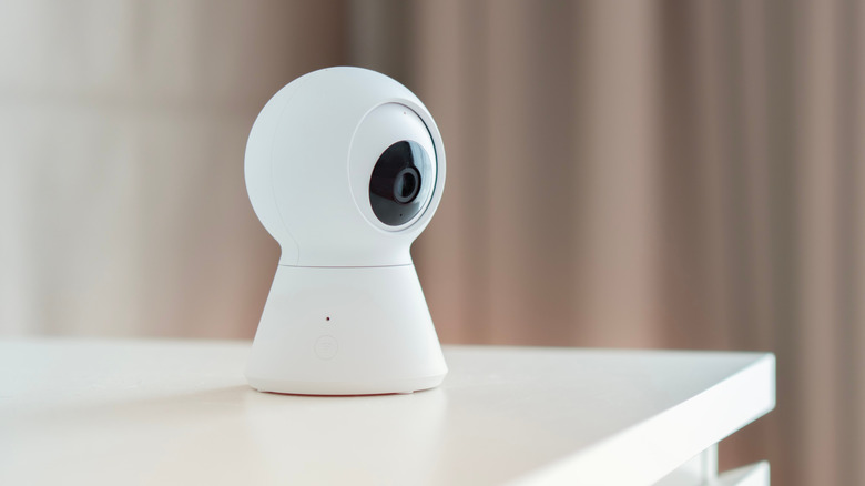 Don't throw out your old security camera – turn it into a smart bird ...