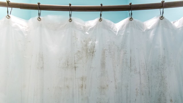 People are keeping plastic shower curtain liners for years with one ...