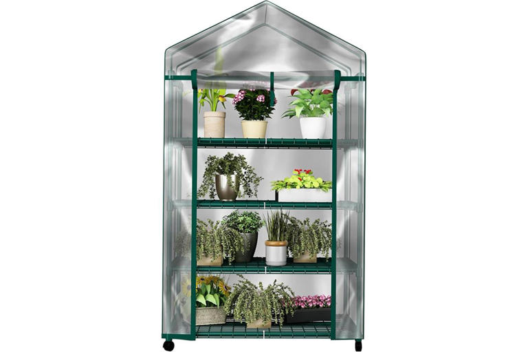 This portable greenhouse is a game changer for growing plants inside ...