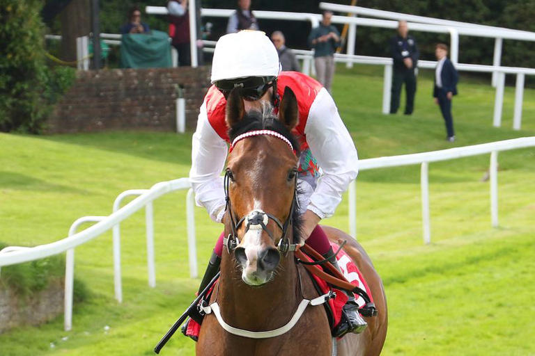 'He was unlucky on his return at York last week' – Jason Heavey's horse ...