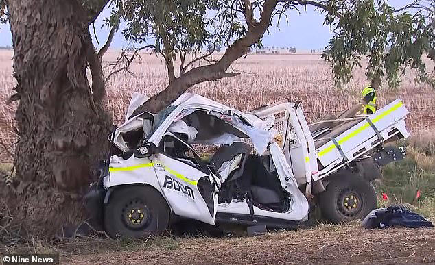 Teens hang from speeding stolen ute moments before horror crash kills  notorious 14-year-old criminal