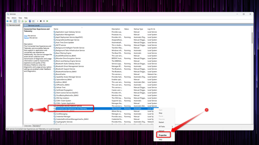 Disabling Windows Telemetry in the Services window. 