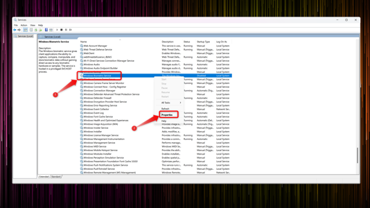 Disabling Windows Biometrics Service in the Windows Services window. 