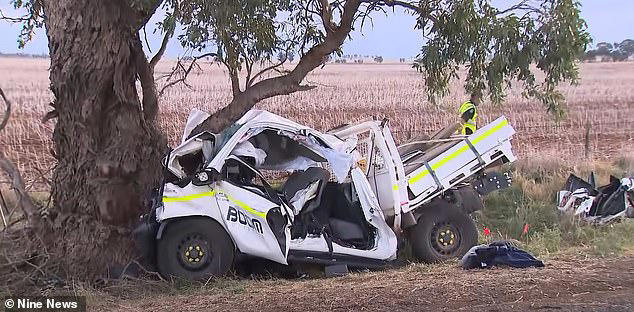 Family of notorious 14-year-old offender killed in horror 'stolen ute' crash  send message to critics