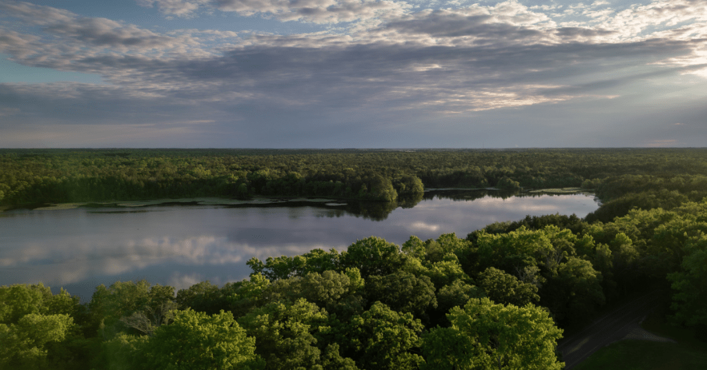 An overlook of a large lake surrounded by swampland and forests in Parvin State Park in New Jersey