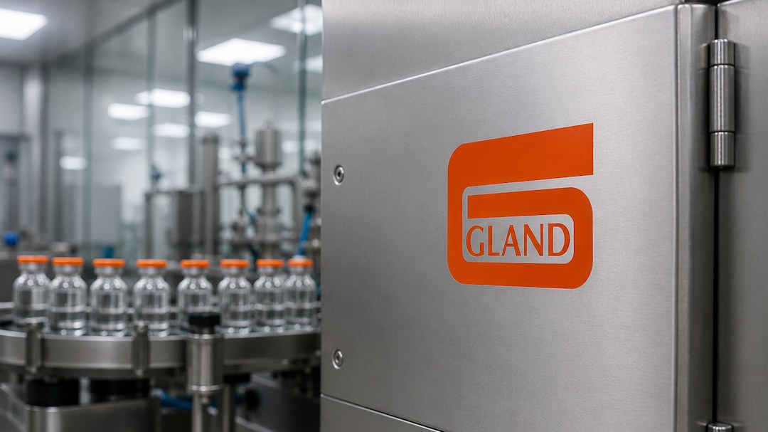 Gland Pharma stock rallies 13% in trade today — here's why