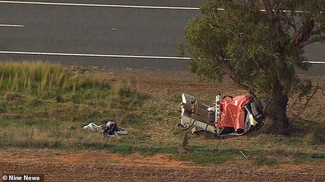 Family of notorious 14-year-old offender killed in horror 'stolen ute'  crash send message to critics