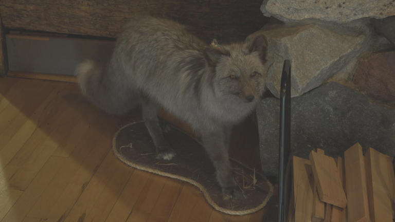 Fromm Brothers Fox Farm: From world-renowned fur empire to historical site