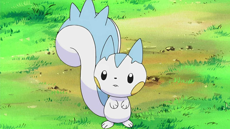 Pachirisu trong anime