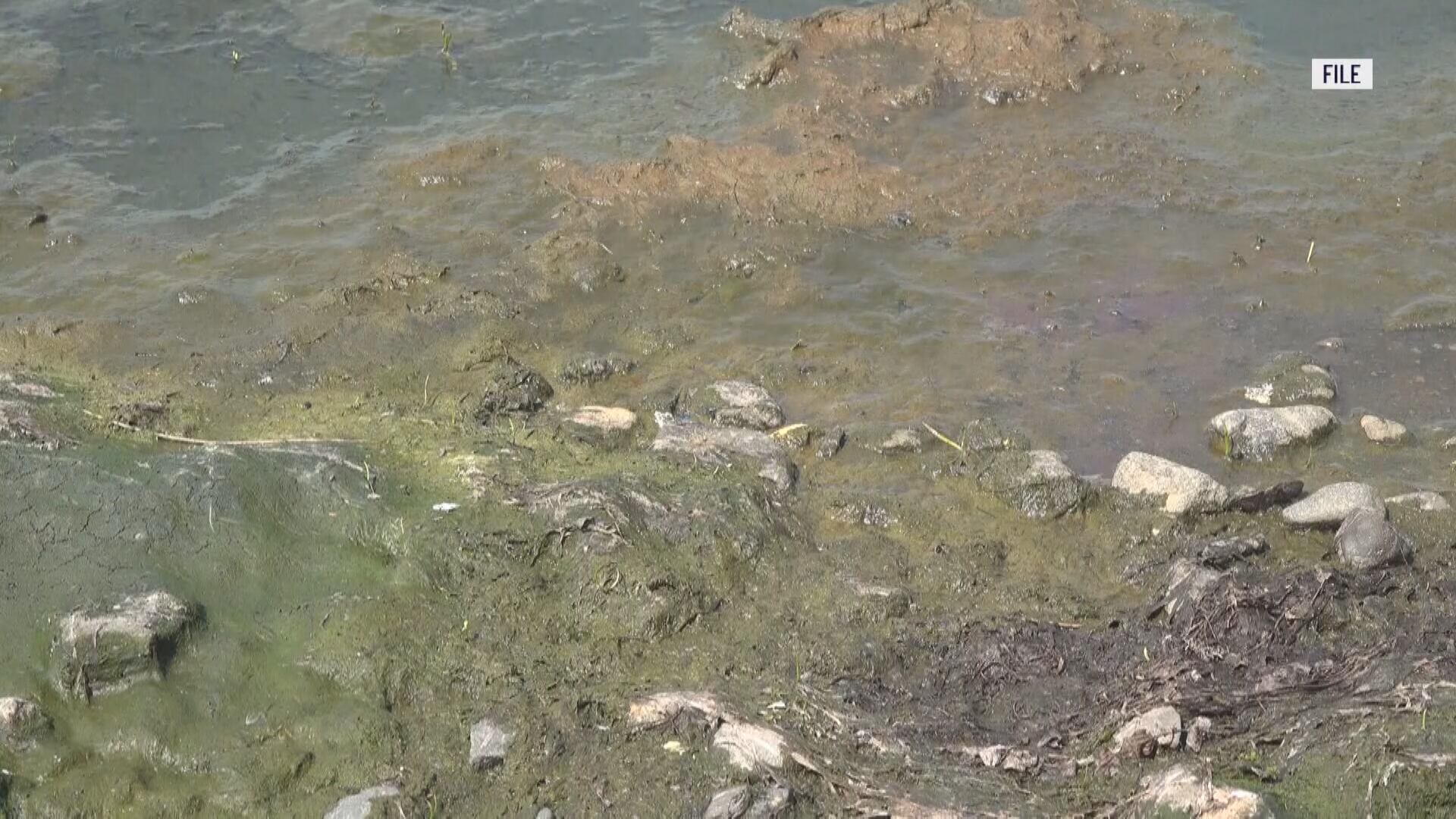 Lake Champlain cyanobacteria season approaches