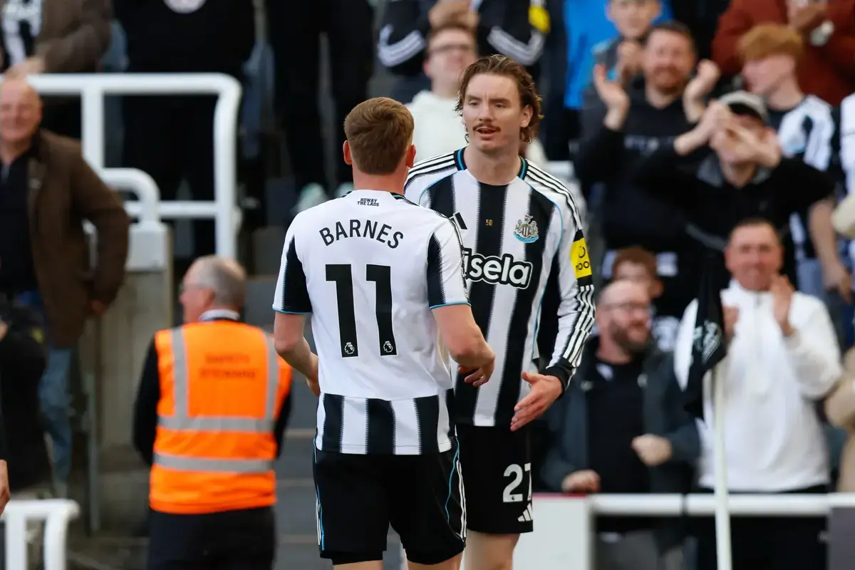 Newcastle 3 West Ham 1 match ratings and comments on all Newcastle ...