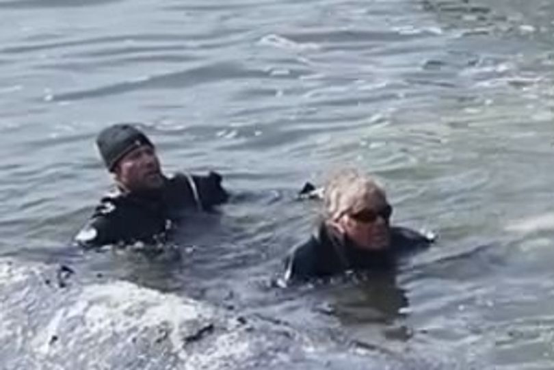 Whale named Timmy found dead after being saved with fears he could explode
