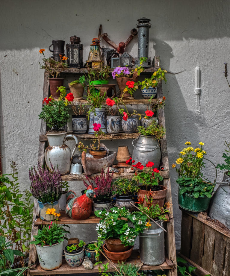 These 4 vertical gardening tricks can transform tiny urban spaces into ...