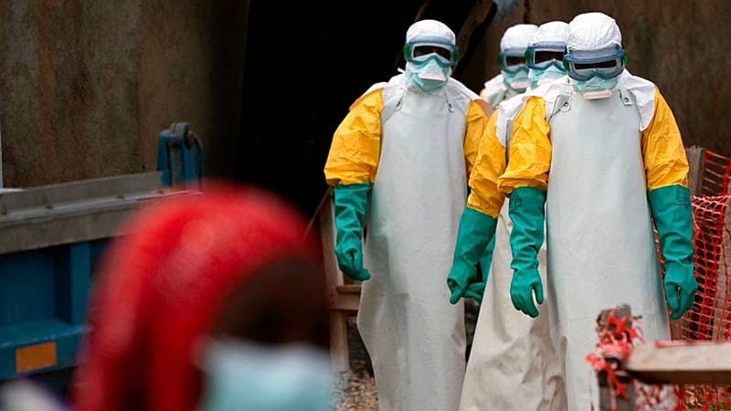 What is an outbreak, epidemic or pandemic? Ebola and public health ...