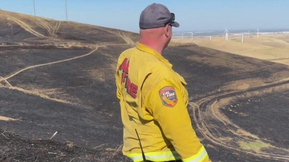 Cal Fire monitoring high winds after vegetation fire burns near ...