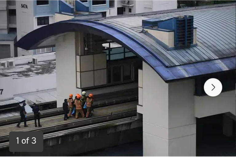 Man dies after falling onto tracks at Singapore’s Segar LRT station ...